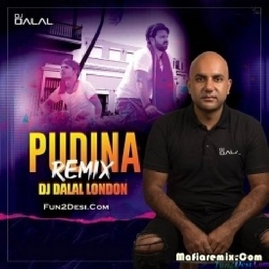 Pudina (Remix) - DJ Dalal London