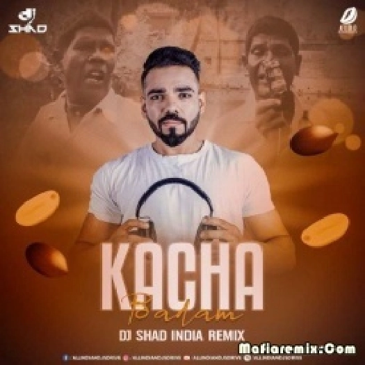 Kacha Badam (Remix) - DJ Shad India