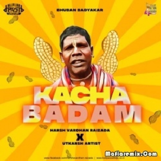 Kacha Badam - Bhuban Badyakar (Remix) - Harsh Vardhan Raizada