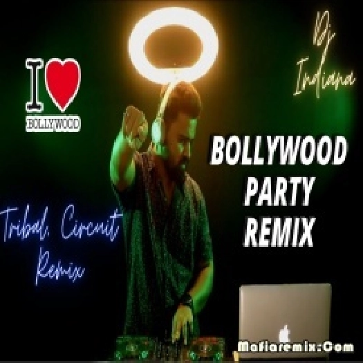 Bollywood Party Circuit Nonstop Mashup Remix  - Dj Indiana