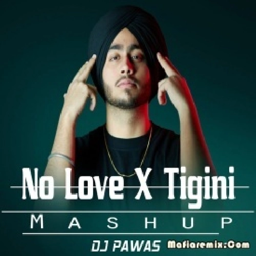Tigini  No Love  Remix Mashup  - DJ Pawas