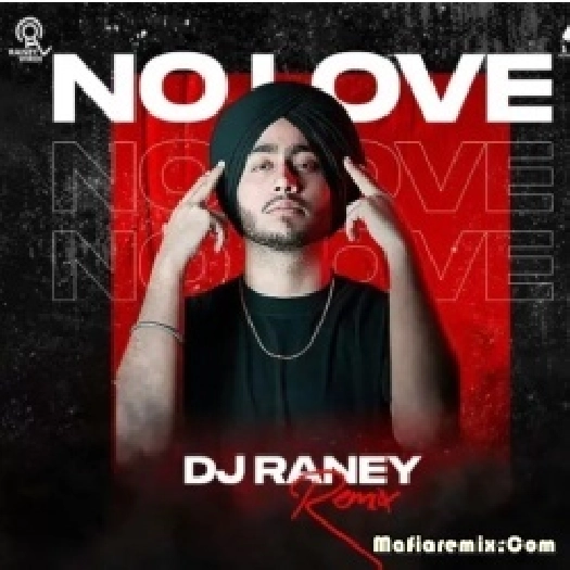 No Love - Shubh (Remix) - DJ Roady