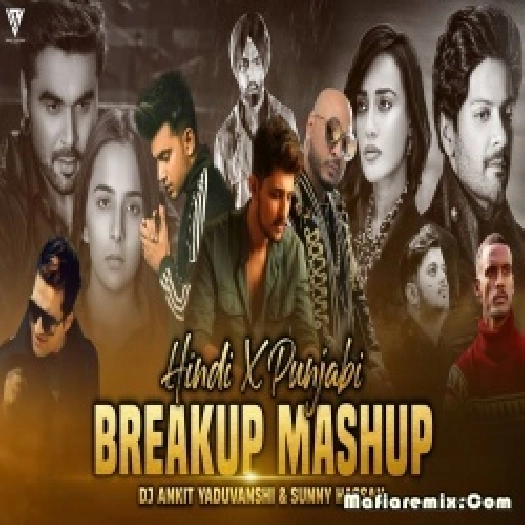 Hindi X Punjabi Breakup Mashup 2023 - Suuny Hassan