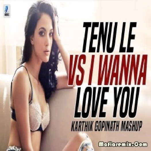 Tenu Le Vs I Wanna Love You Mashup - Karthik Gopinath
